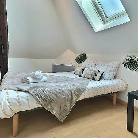Le Travel - Appartement Equipe Proche Centre Et Yschools Труа Экстерьер фото